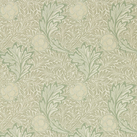 Apple - Bay Leaf