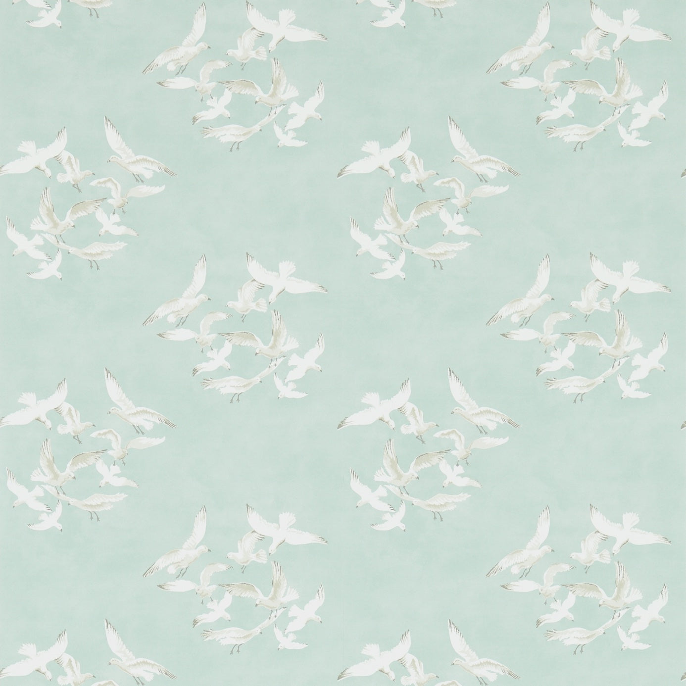 Seagulls - Eau De Nil