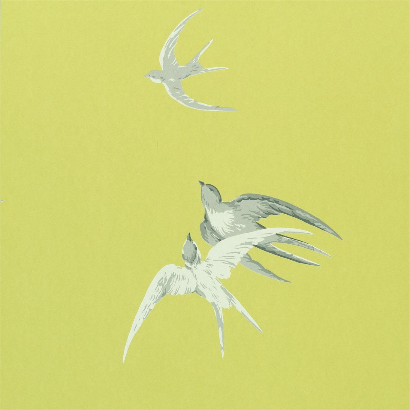 Swallows - Lime