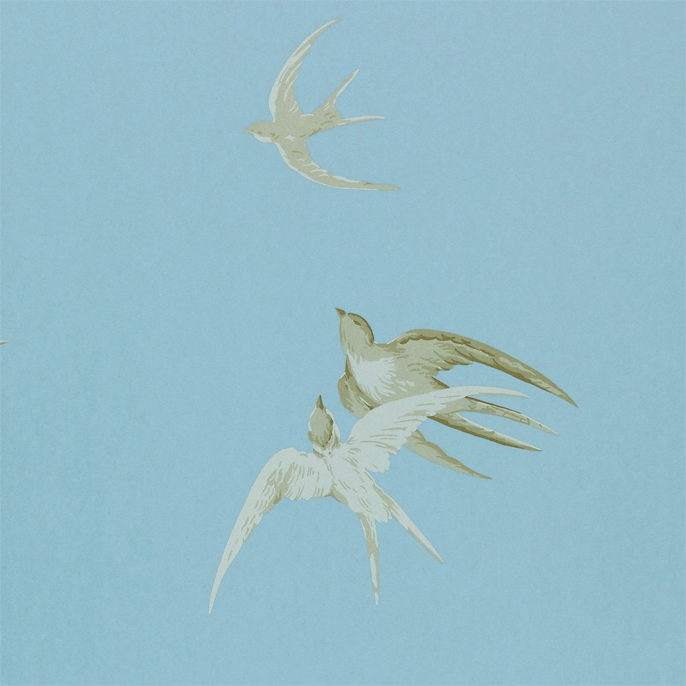 Swallows - Wedgwood