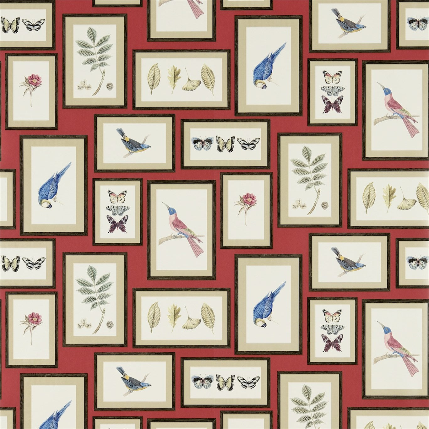 Picture Gallery - Red / Multi