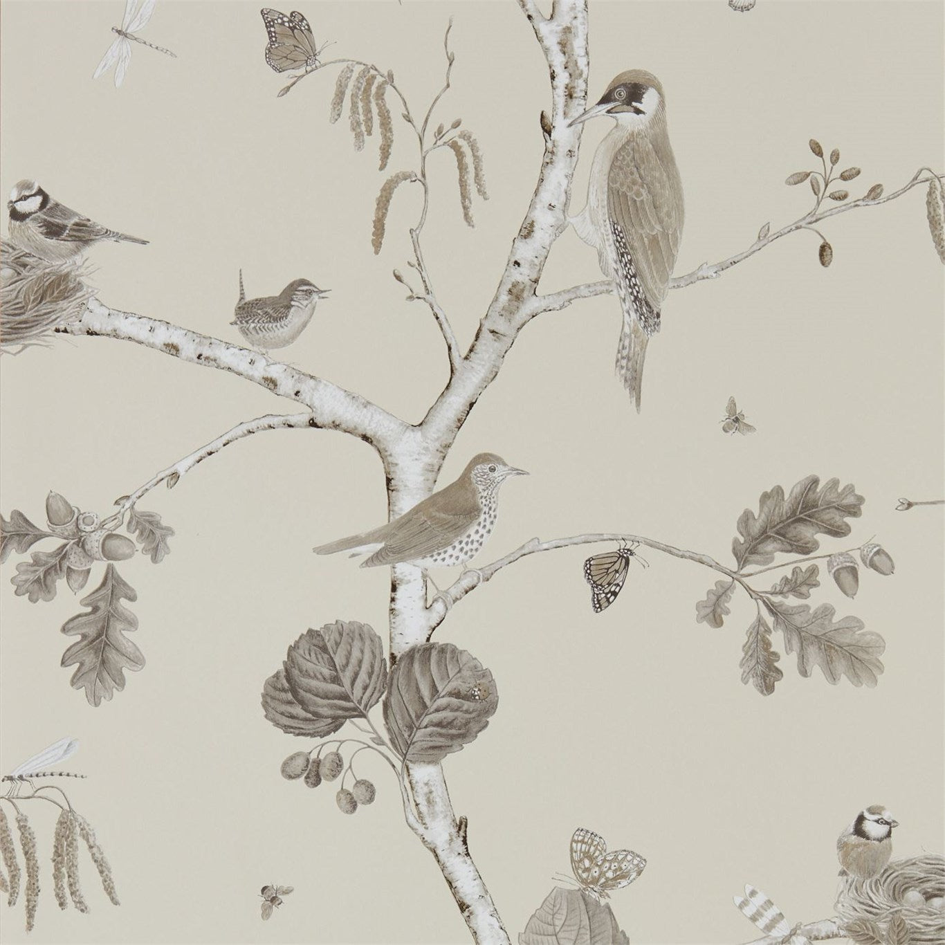 Woodland Chorus - Sepia / Neutral