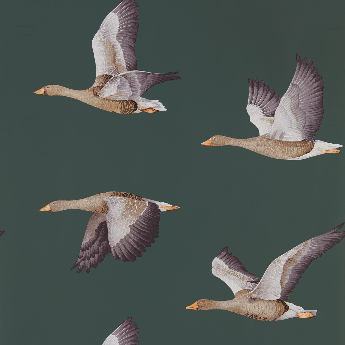 Elysian Geese (Wallpaper) - Amsterdam Green