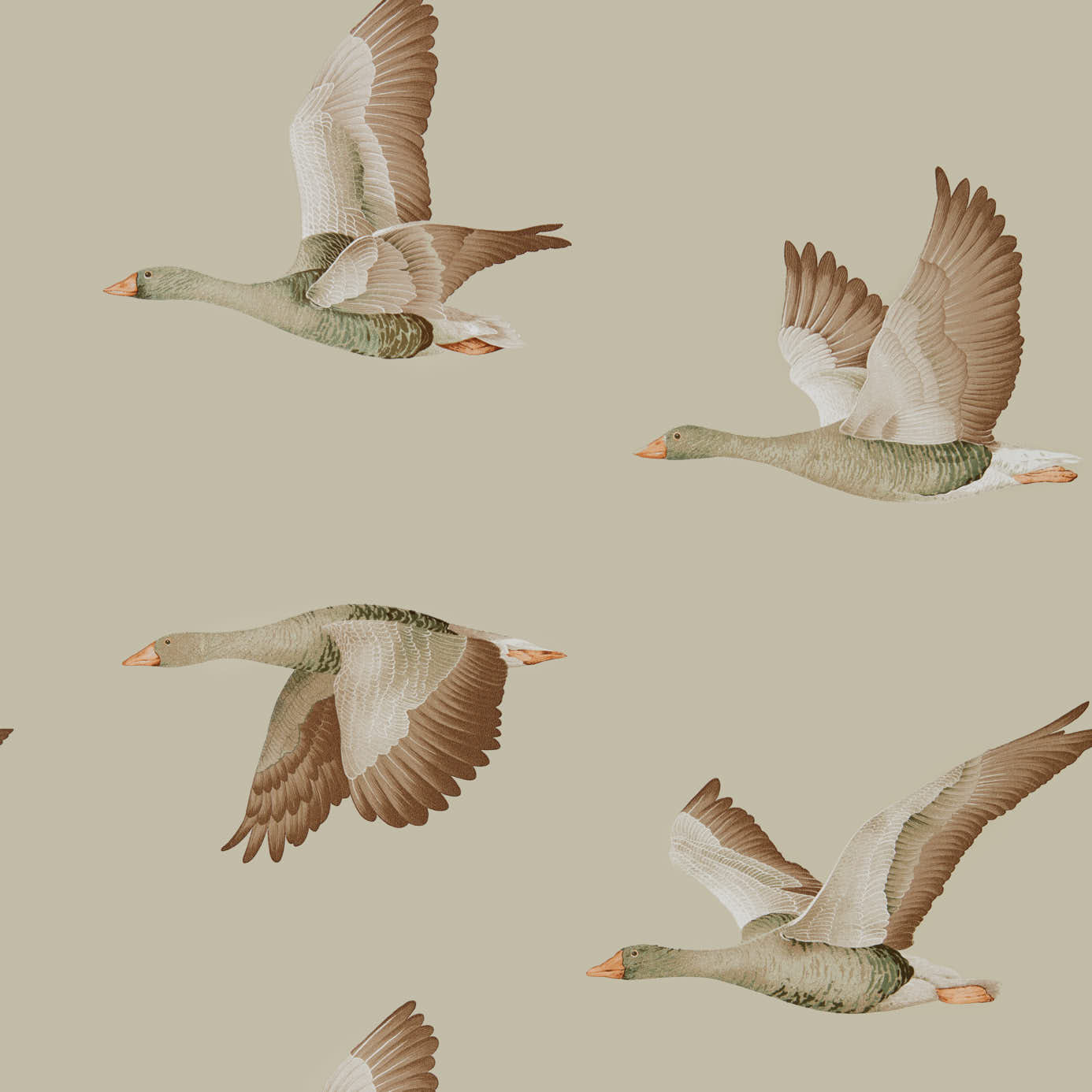 Elysian Geese (Wallpaper) - Briarwood