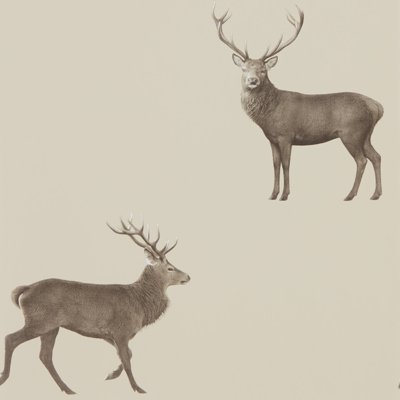 Evesham Deer (Wallpaper) - Birch
