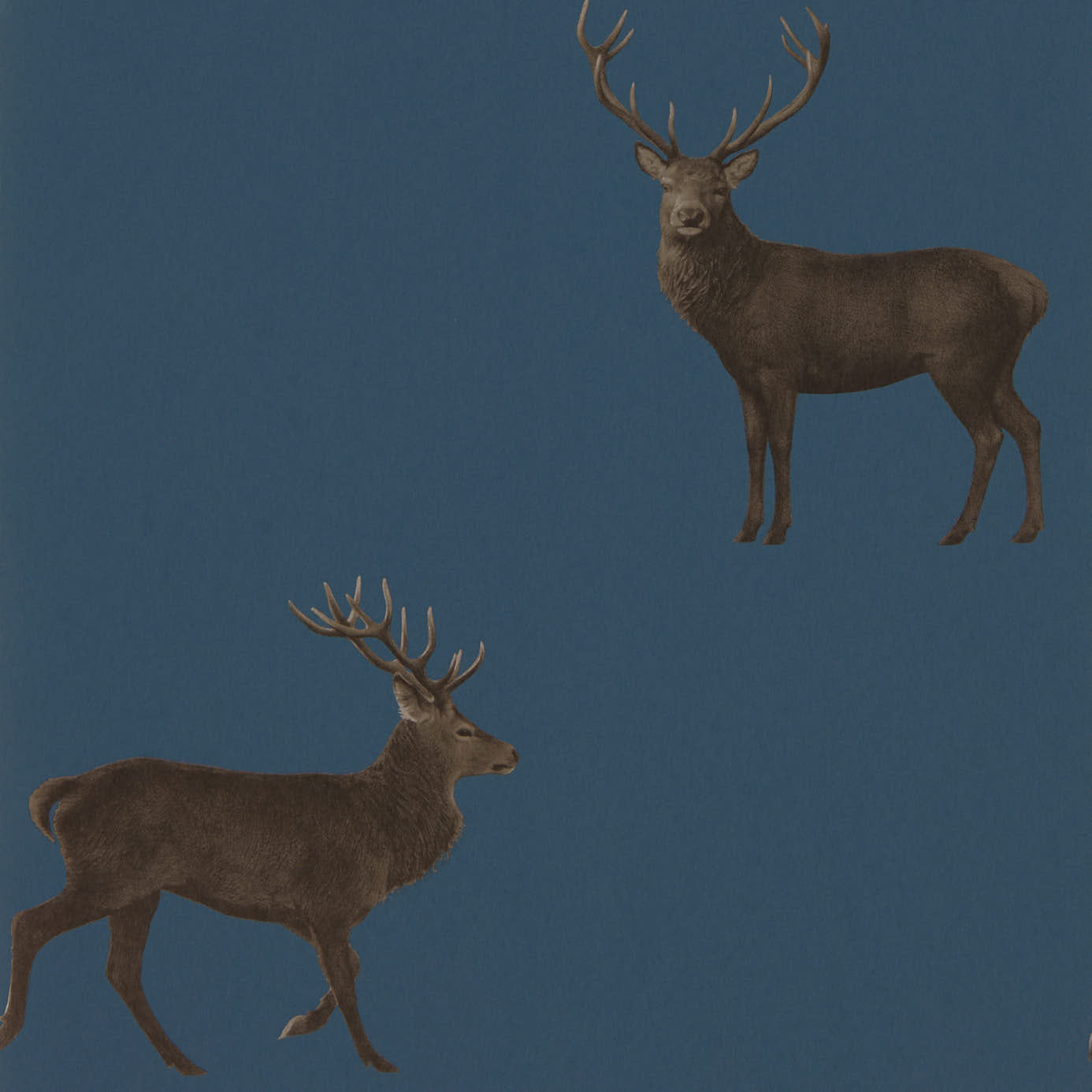 Evesham Deer (Wallpaper) - Indigo