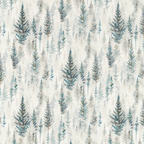 Juniper Pine - Pine Forest