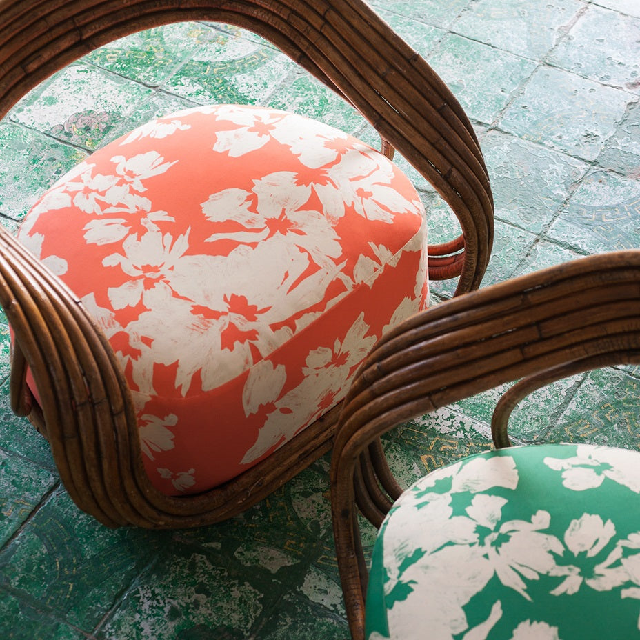 Kyllikki - Tender Coral