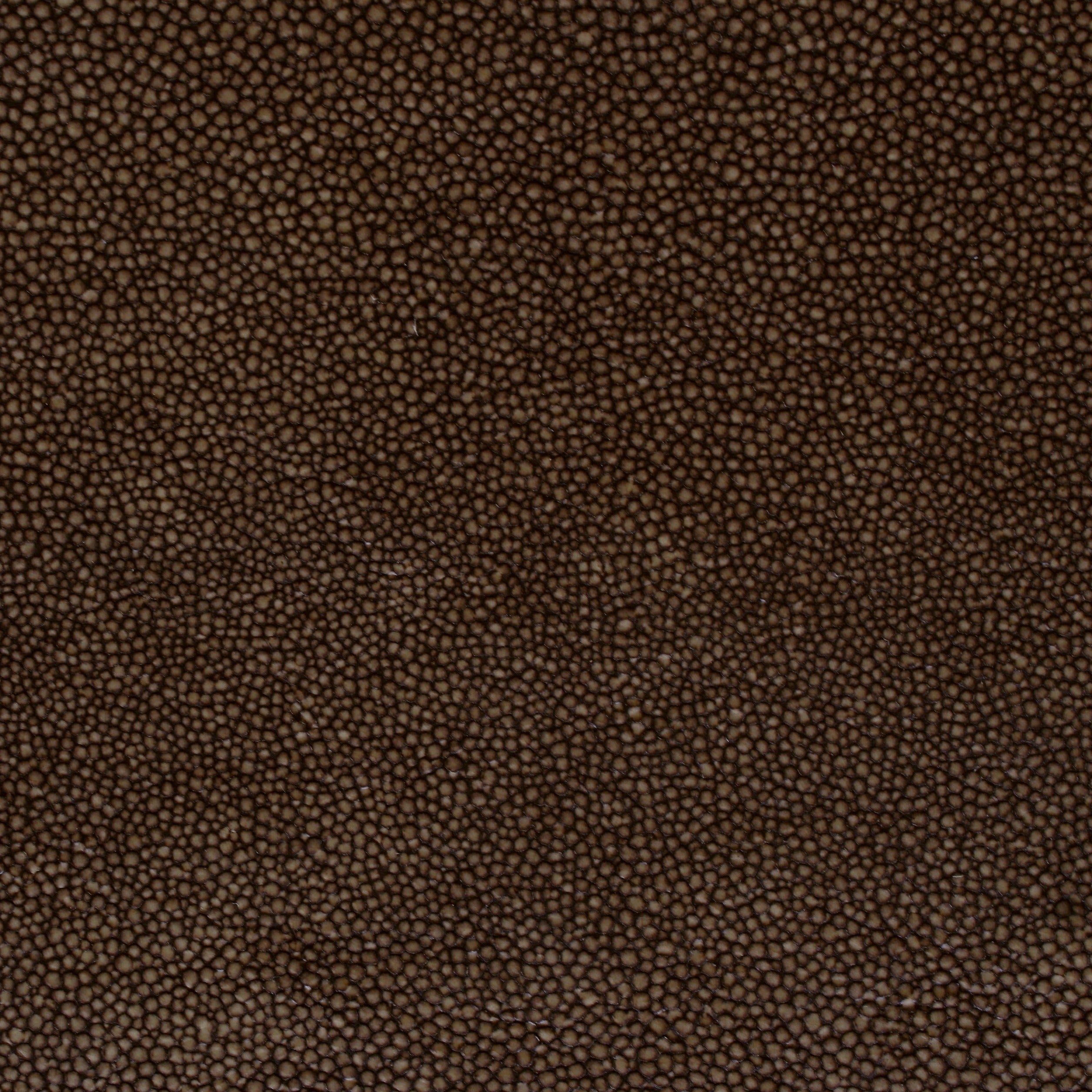 Hide Tide - Driftwood