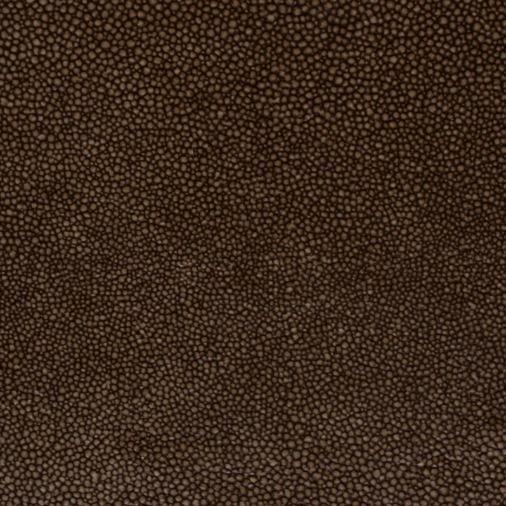 Hide Tide - Driftwood