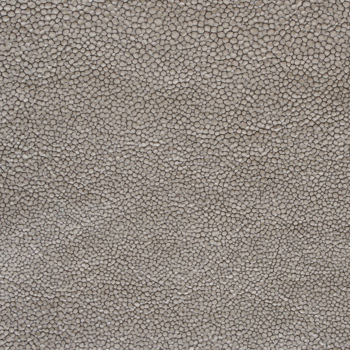 Hide Tide - Sand Dune