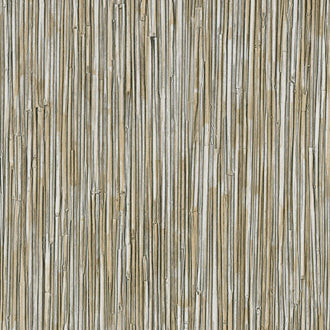 La Casa de Paja HPC - Resister au temps - CV 117 03