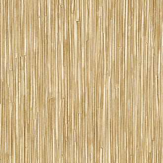 La Casa de Paja HPC - Une grace ephemere - CV 117 04