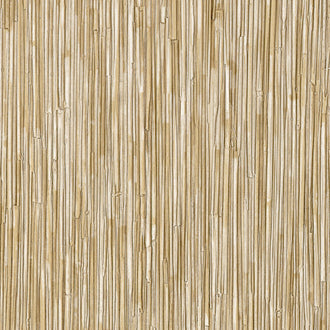 La Casa de Paja HPC - Une source de vie - CV 117 05