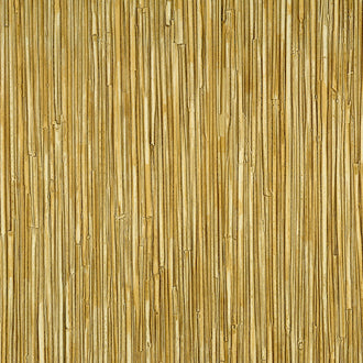 La Casa de Paja HPC - Un rayonnement eblouissant - CV 117 06