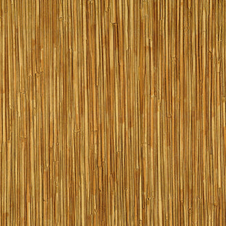 La Casa de Paja HPC - Le reflet de ses passions - CV 117 07