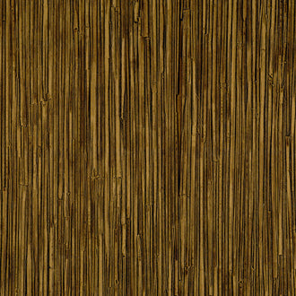 La Casa de Paja HPC - Une presence envahissante - CV 117 08