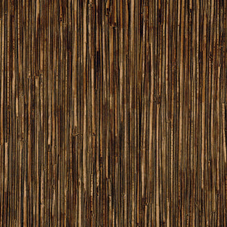 La Casa de Paja HPC - Comme un fleuve endormi - CV 117 12