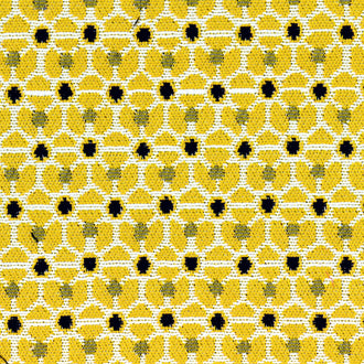 Rumba - Sous les rayons du soleil - OD 120 22