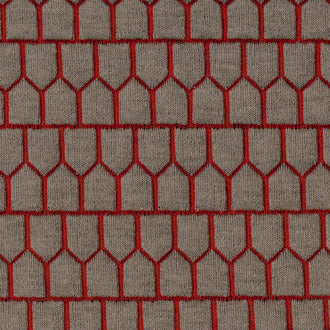 Argia - Une forte identite - OD 126 04