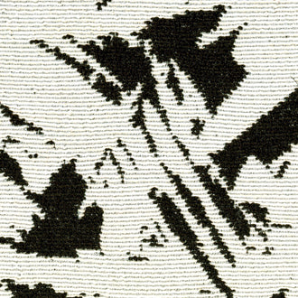 Despina - L'empreinte d'un nuage - OD 131 80