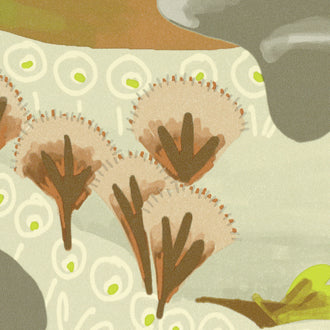 Reves de Manille - Sur le mont Apo - TP 323 02