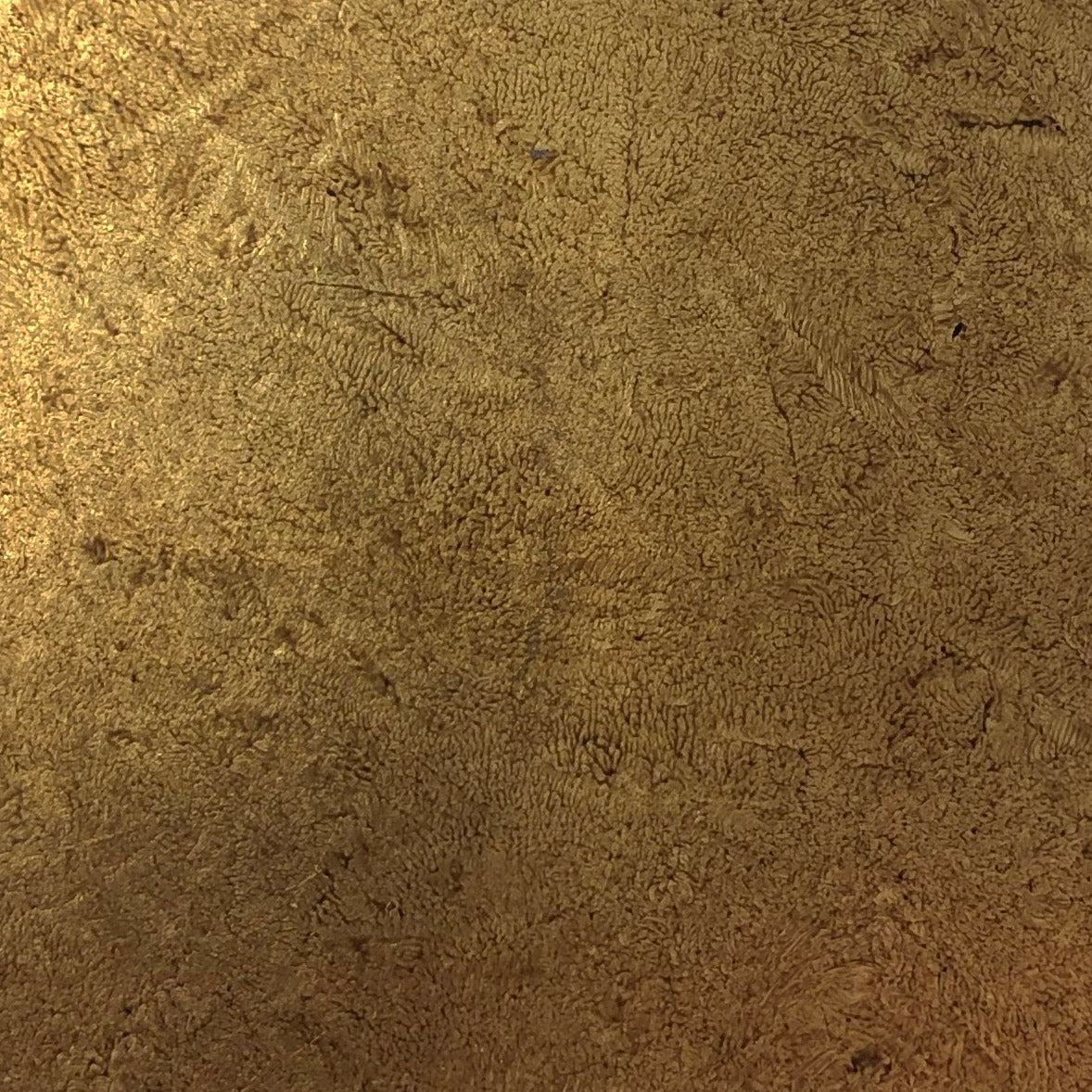 Painted Finishes - Gold