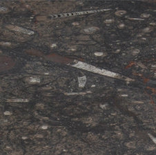 Stone - Fossilized Marble (honed)