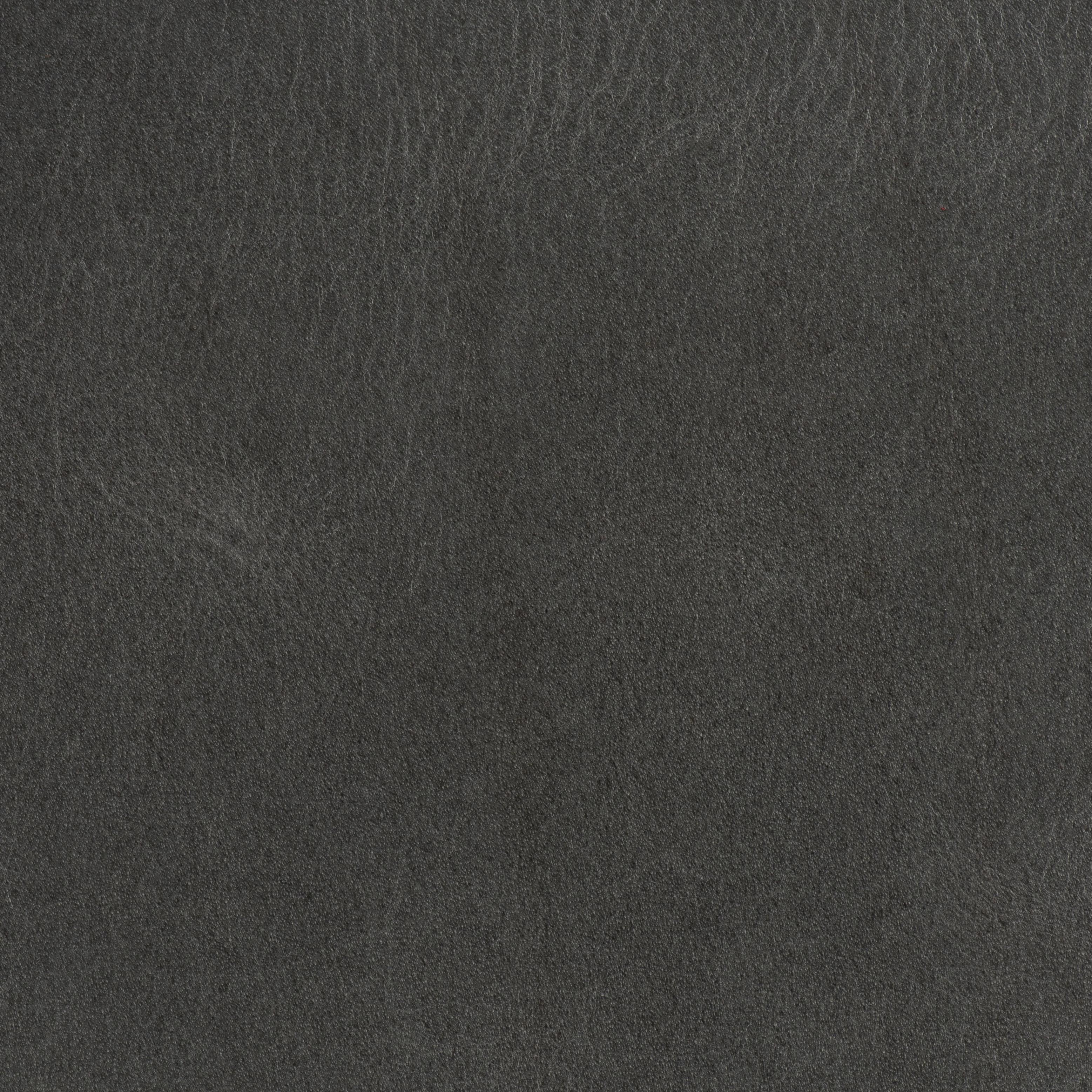 Tail Blazer - Gun Smoke