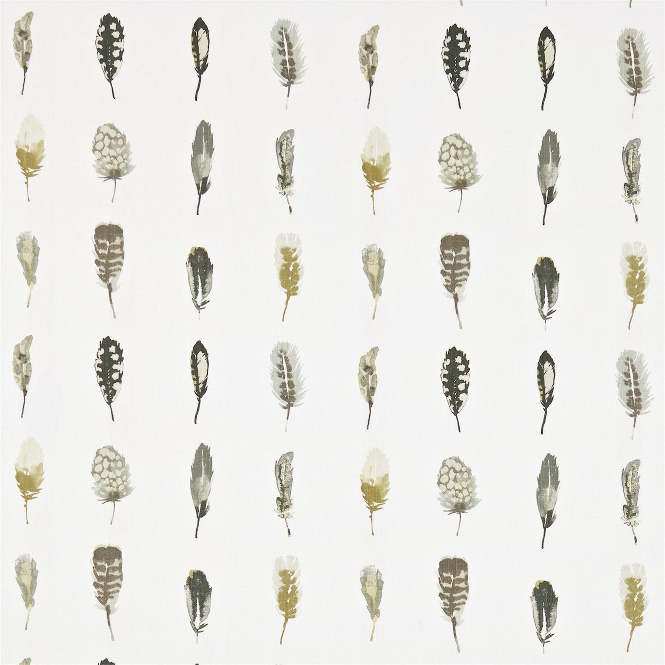 Limosa - Mustard  /  Cocao  /  Stone