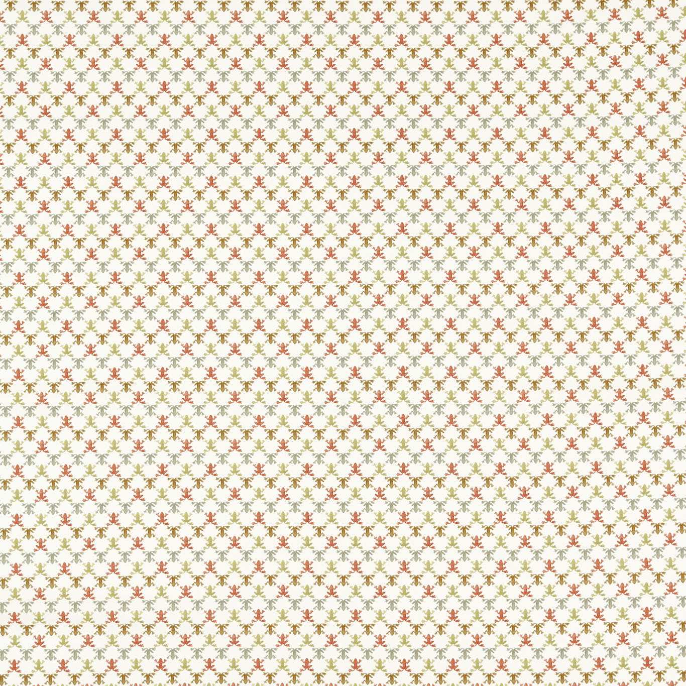 Mini Wood Frog - Baked Terracotta / Parchment / Sketched