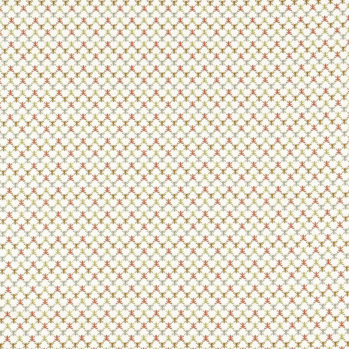 Mini Wood Frog - Baked Terracotta / Parchment / Sketched