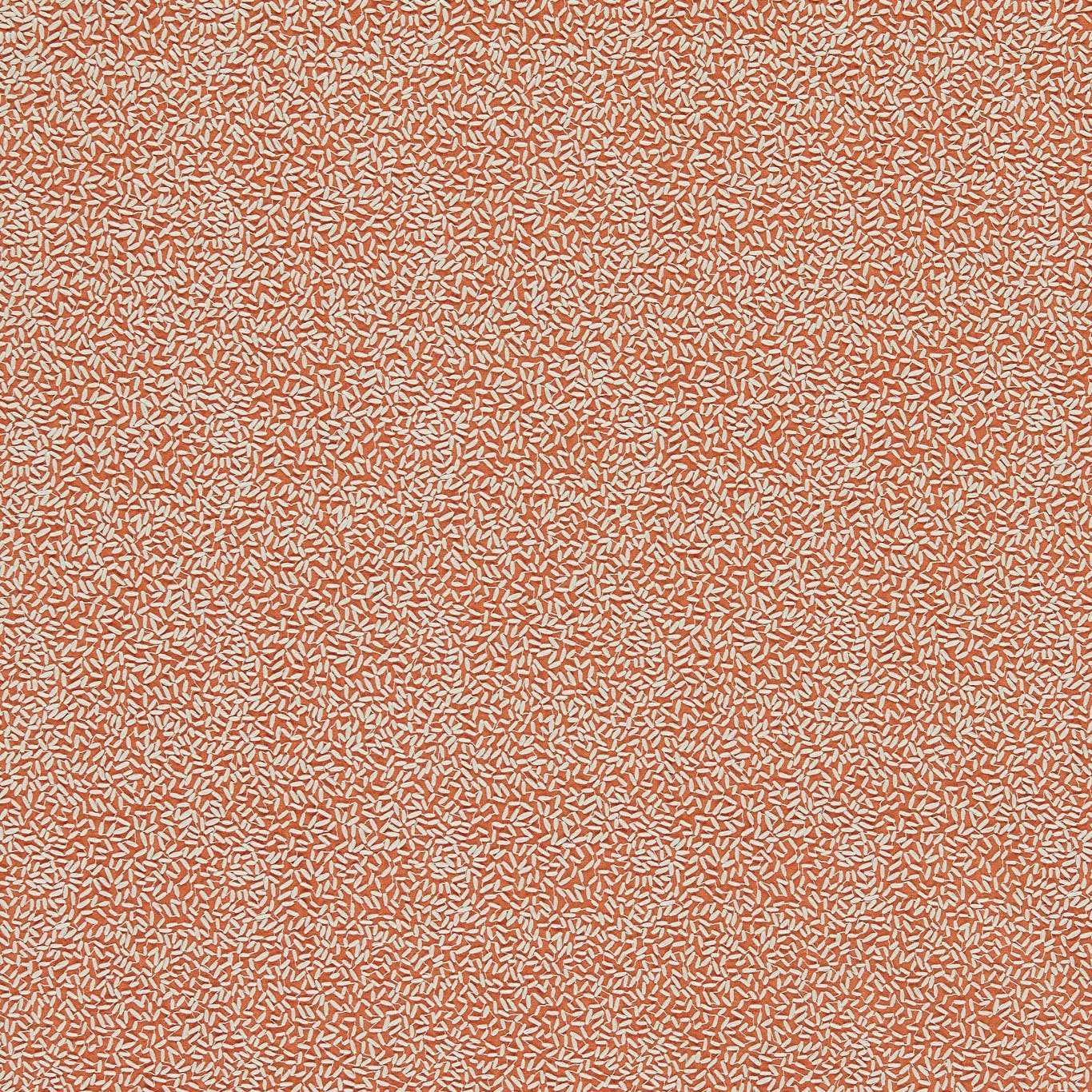 Sow - Baked Terracotta / Soft Focus