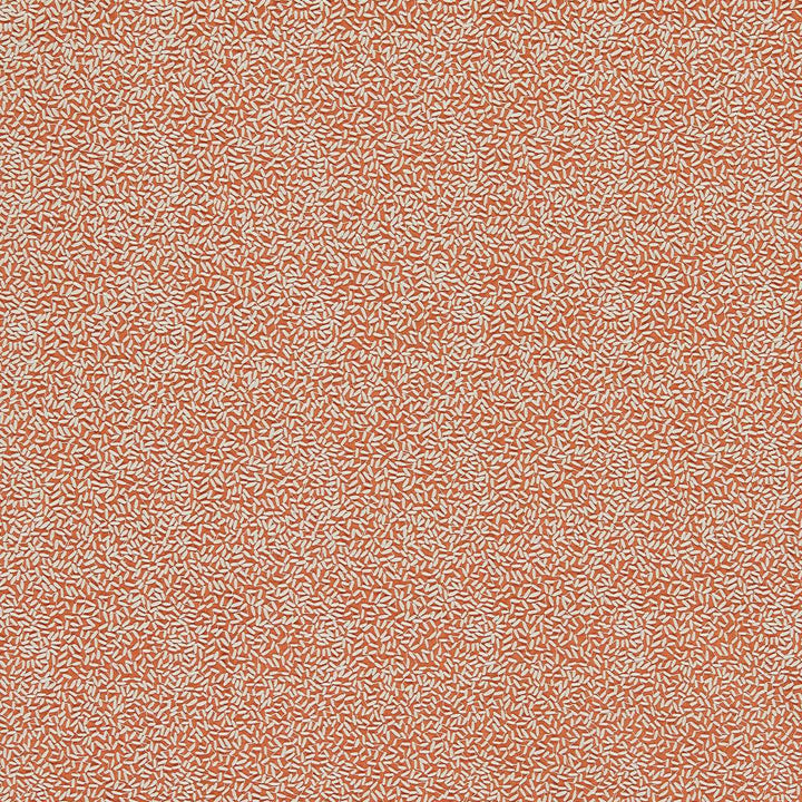 Sow - Baked Terracotta / Soft Focus