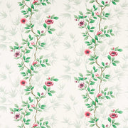 Lady Alford - Fig Blossom / Magenta