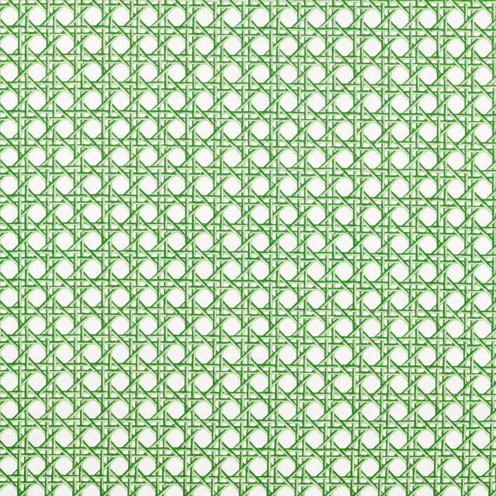 Lovelace - Apple / Paper Lantern