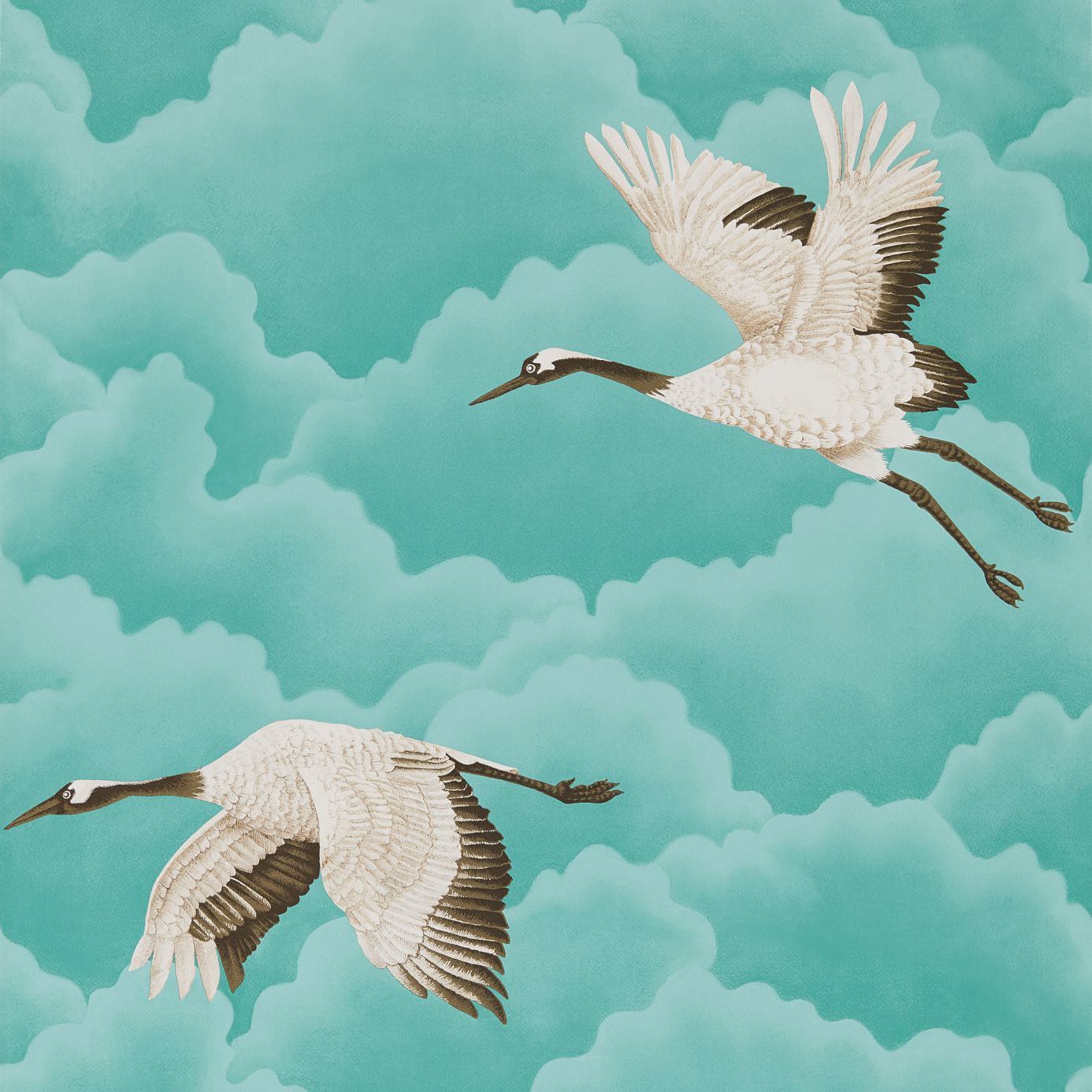 Cranes In Flight - Marine