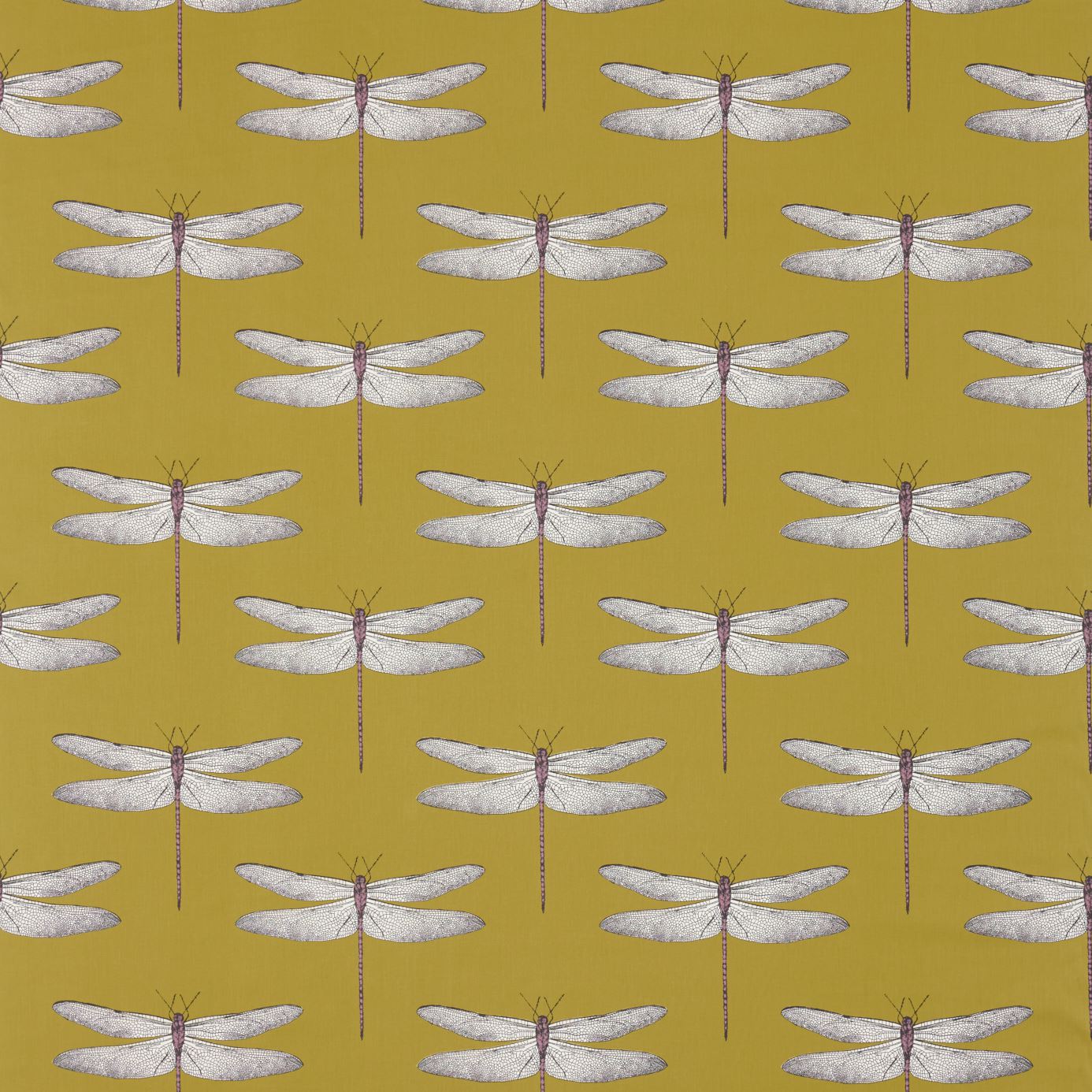 Demoiselle - Chartreuse / Grape