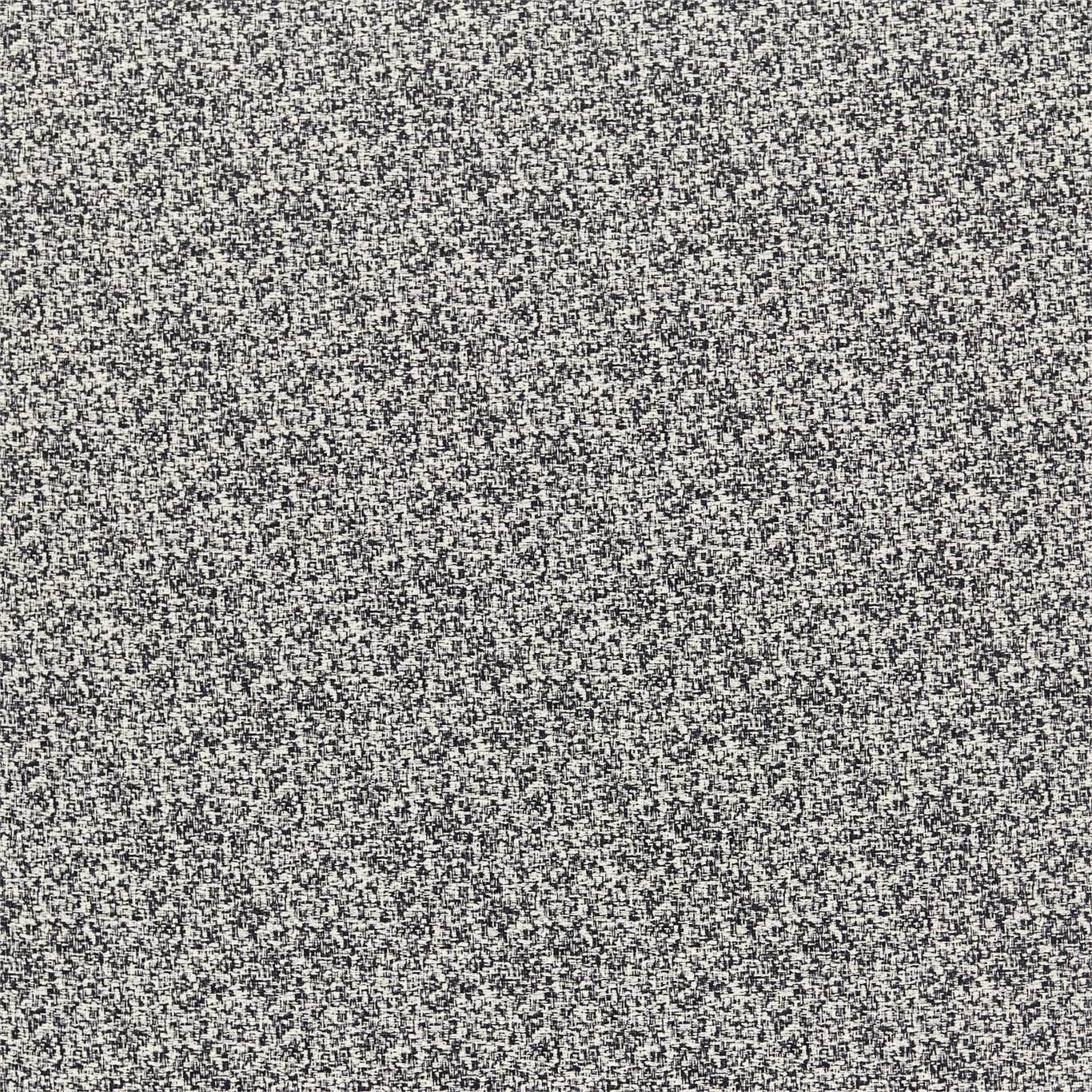 Teesha - Tortoiseshell