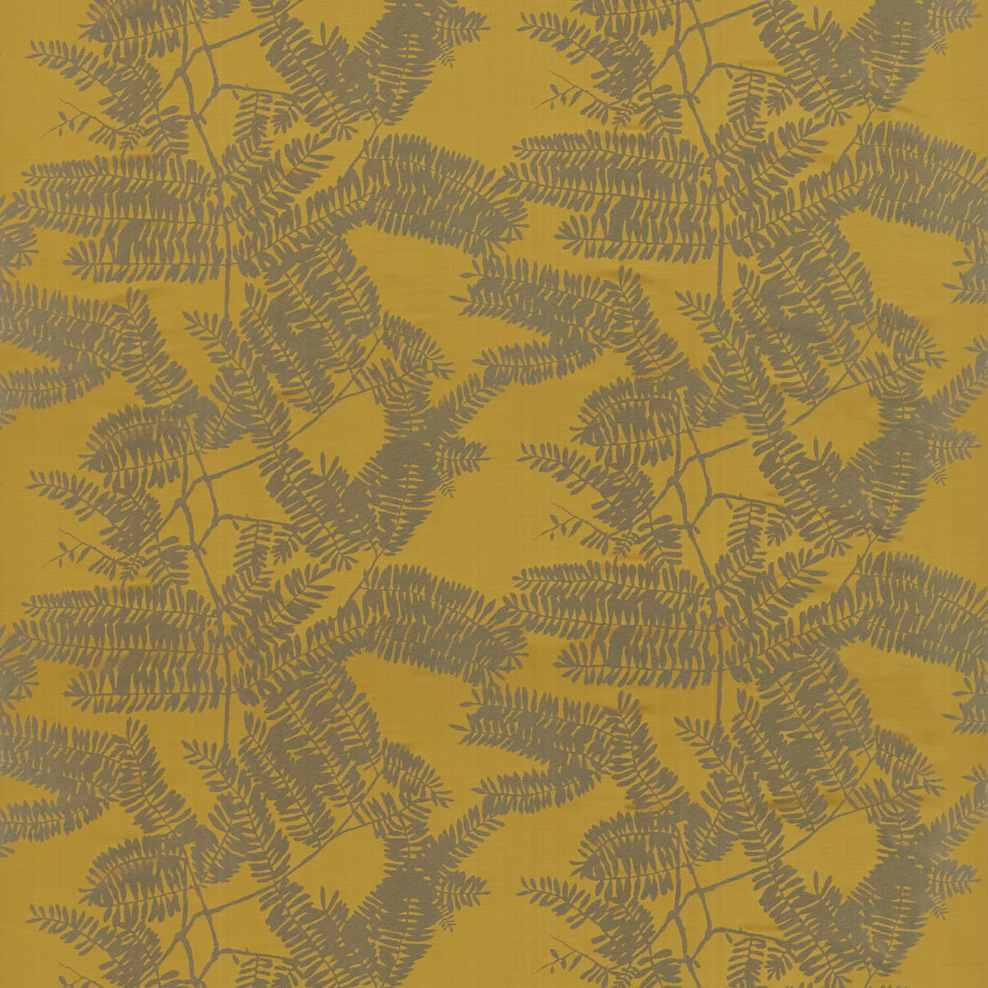 Extravagance - Saffron