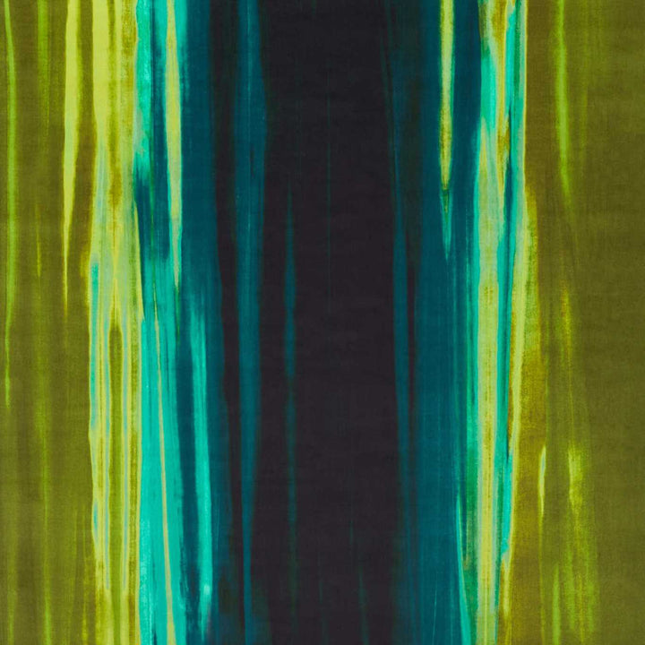 Rewilded - Wilderness / Amazonia / Tree Canopy