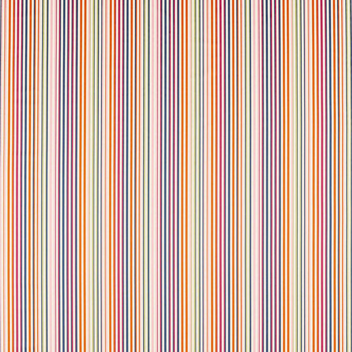 Calla - Pomegranate / Clementine / Peony / Blueberry