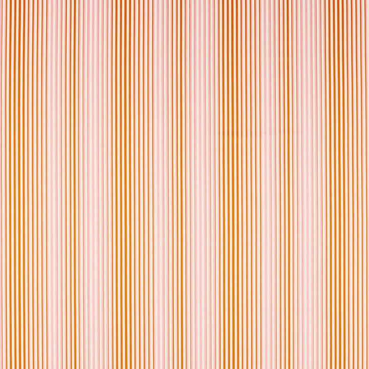 Calla - Clemetine / Peony