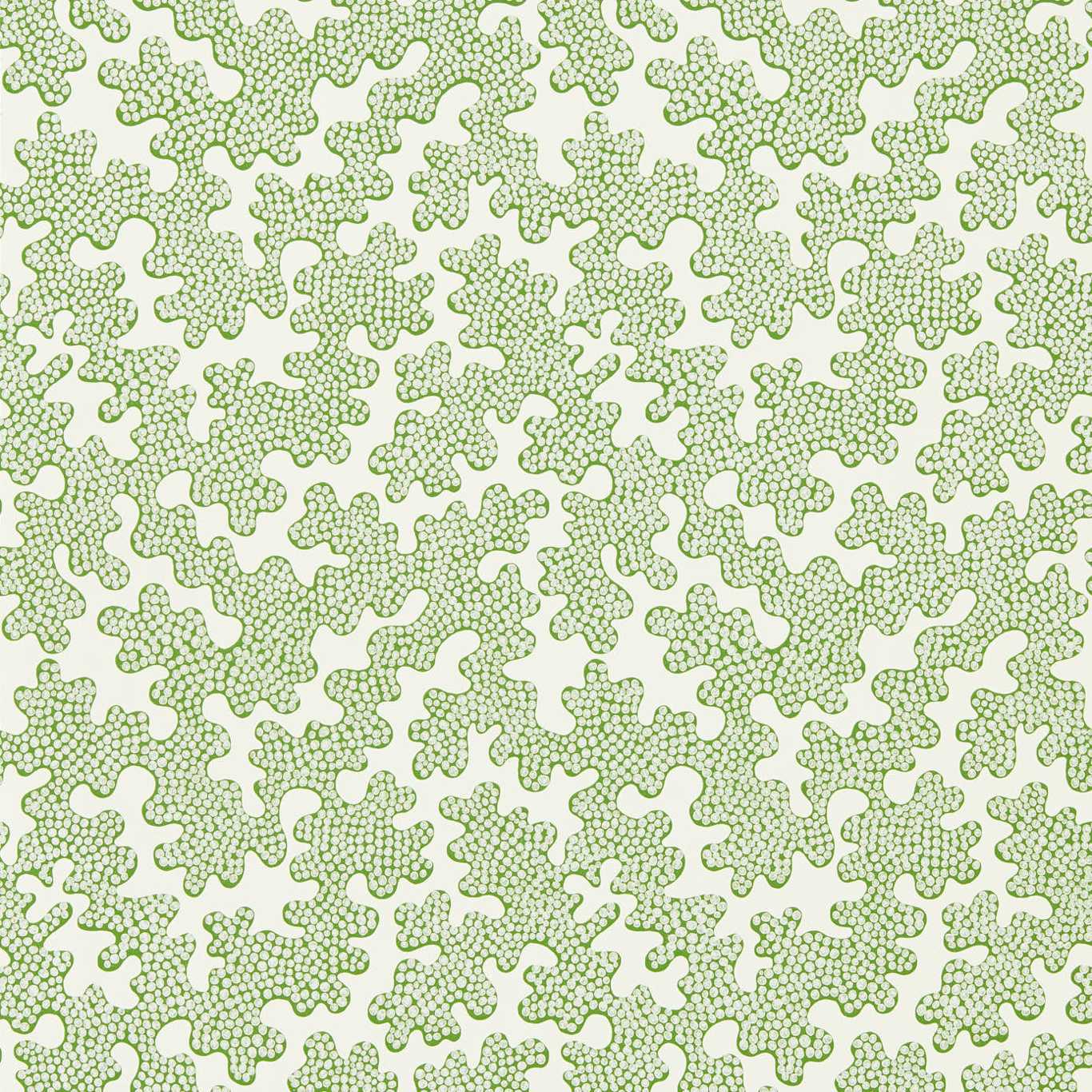 Zori Wallpaper - Forest / First Light