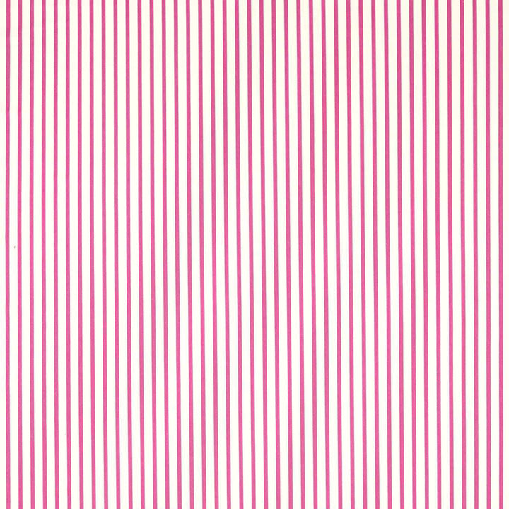 Ribbon Stripe - Spinel