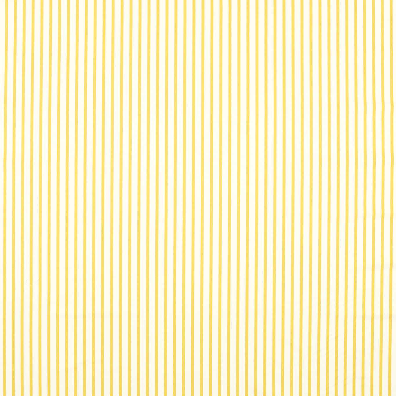 Ribbon Stripe - Citrine