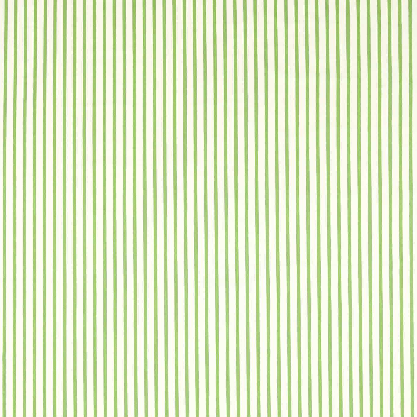 Ribbon Stripe - Peridot
