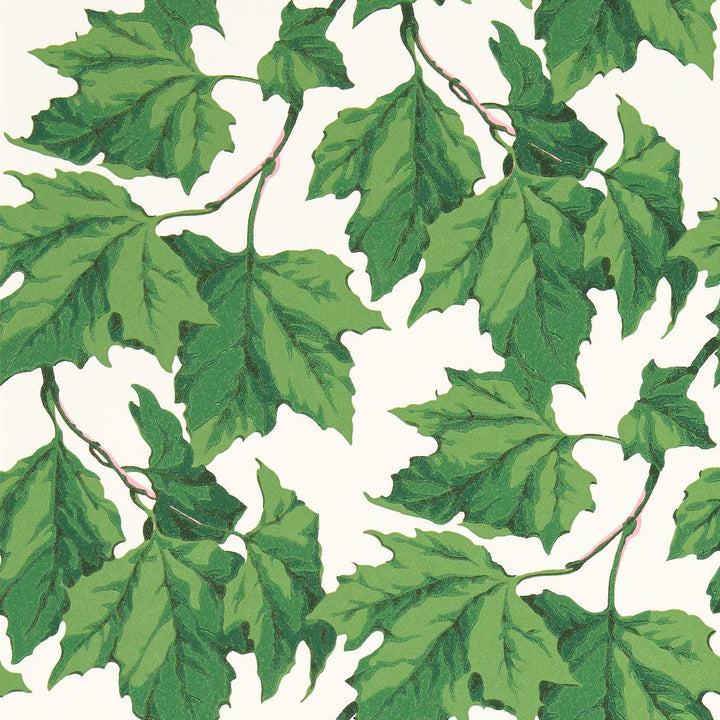 Dappled Leaf Wallcovering - Emerald