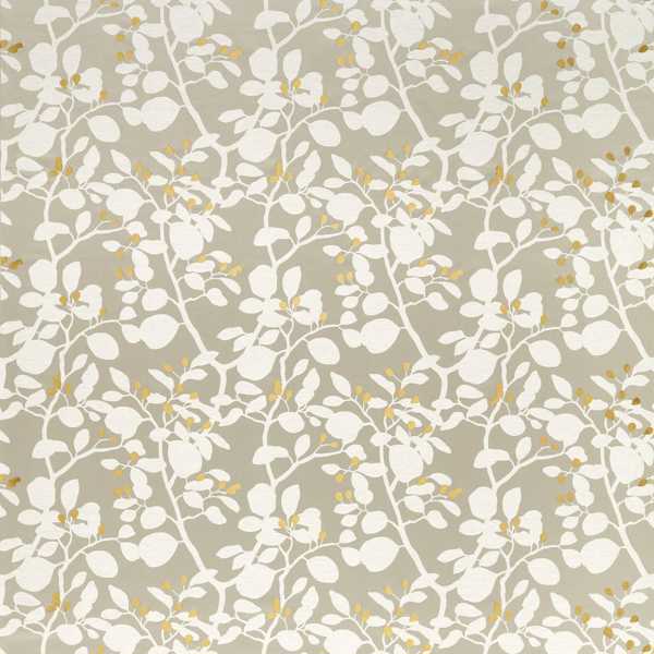 Ardisia - Diffused Light