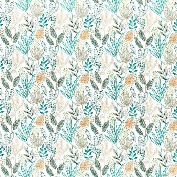 Gorgonian - Amazonia / Stillness